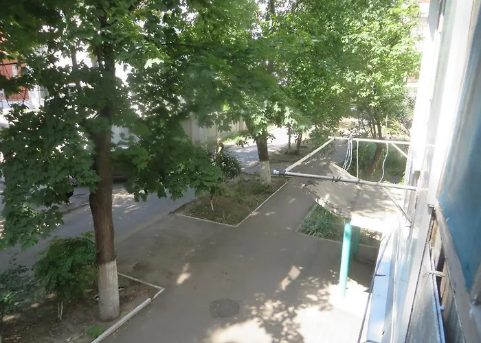 добровольского, 105 *